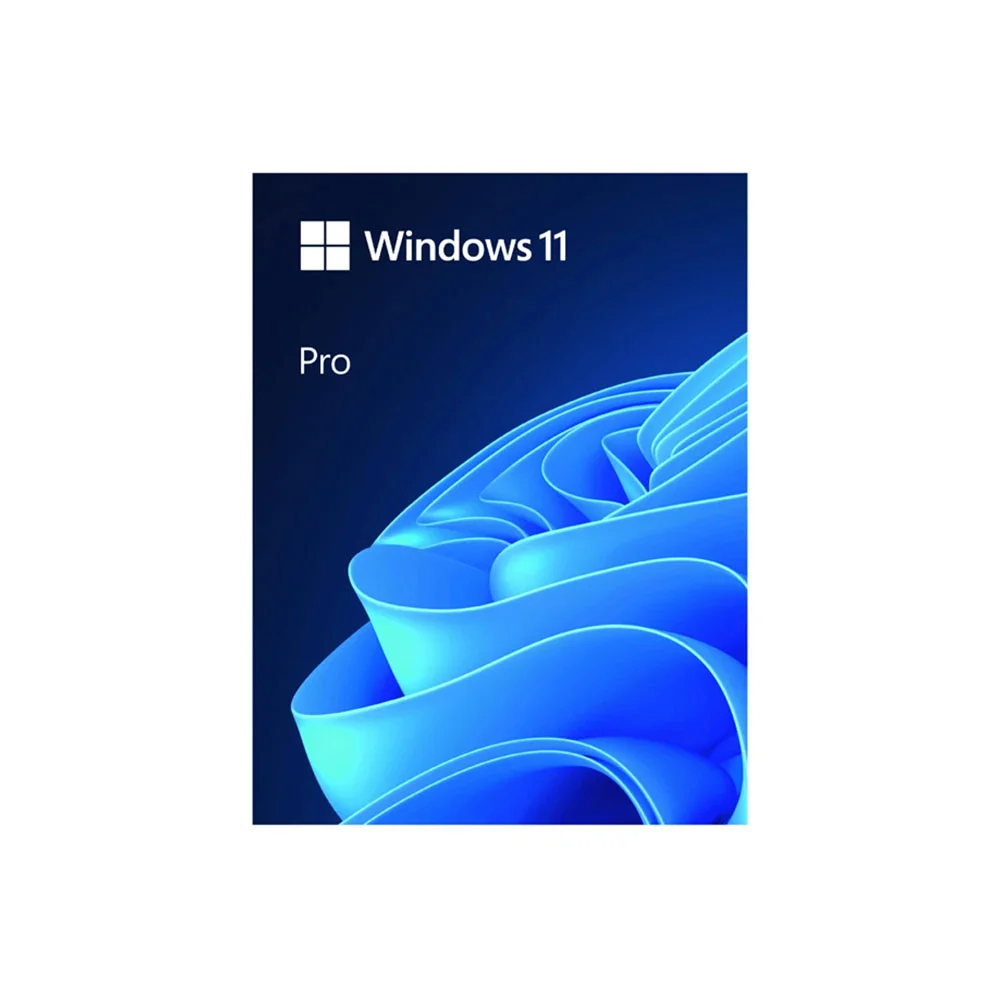 Phần mềm Windows 11 Pro 64-bit INTL USB